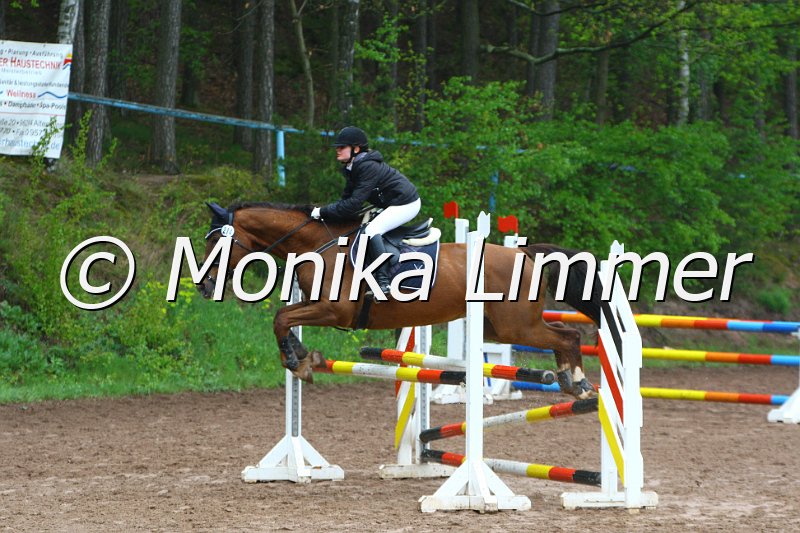 005L4788_Red Indian Summer_Spring  Ax.JPG